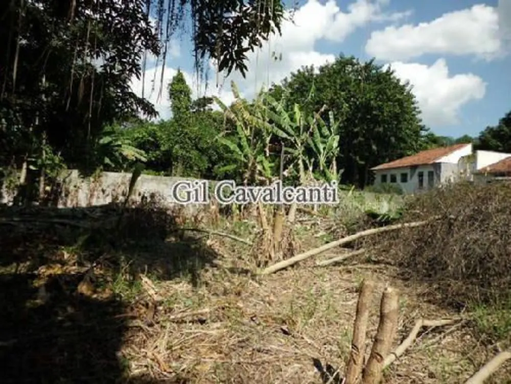 Terreno - Foto 13