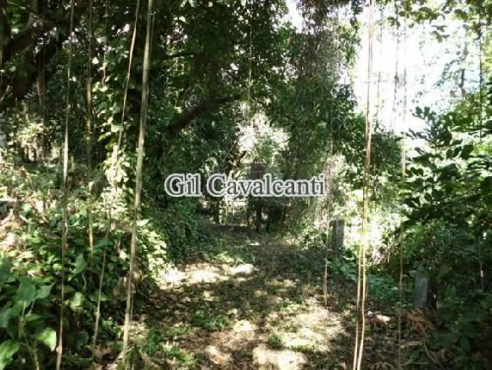 Terreno - Foto 4