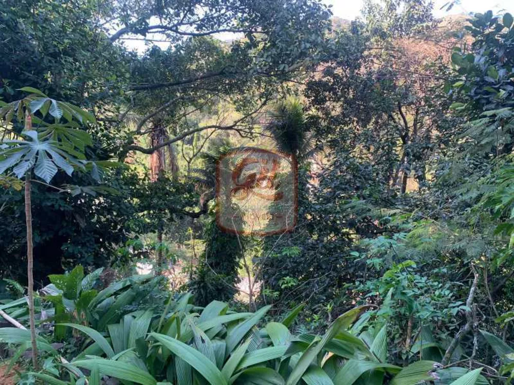 Sítio, 3 quartos, 1 hectares - Foto 10