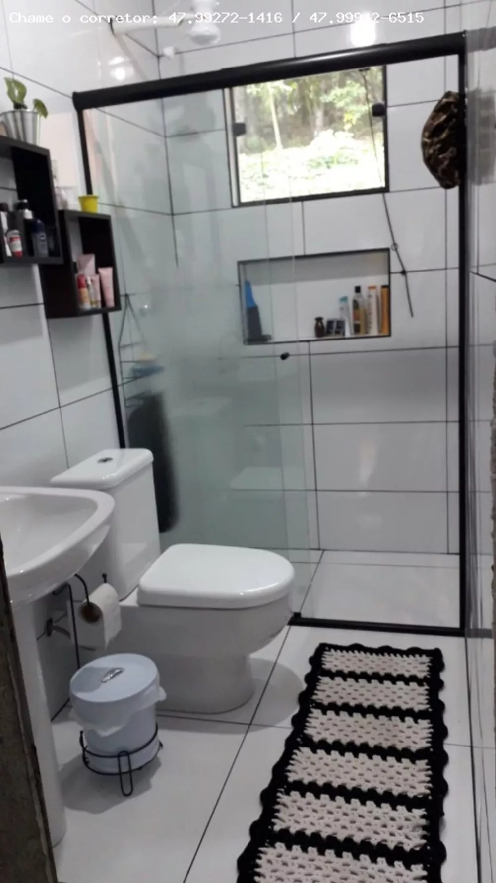 Chácara, 2 quartos, 8000 m² - Foto 1