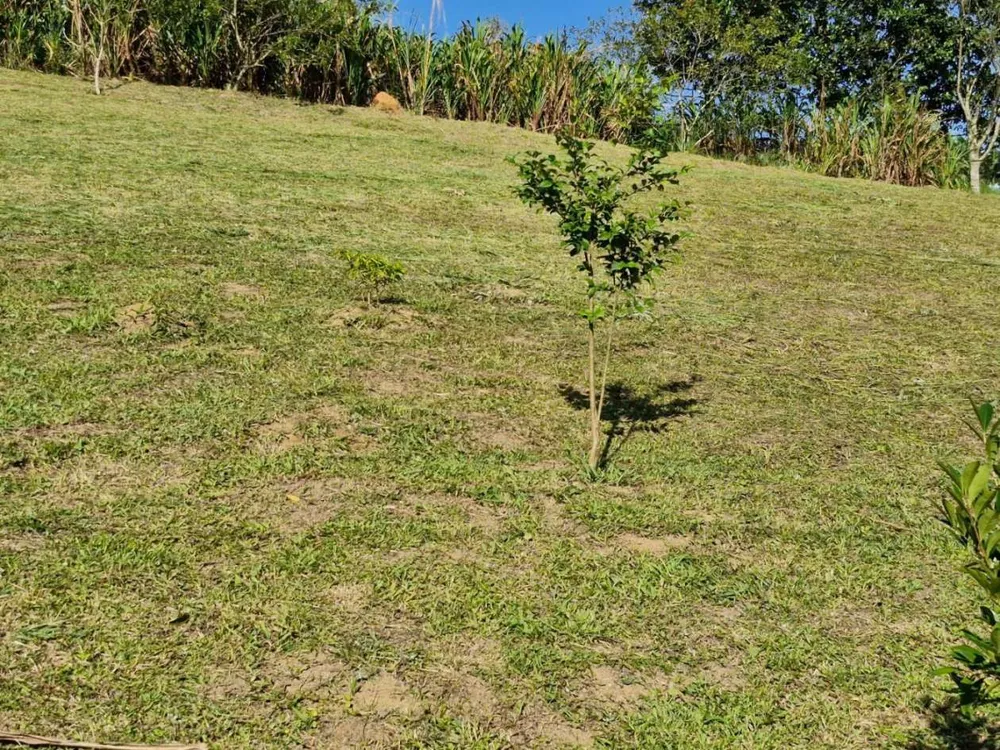 Terreno, 1000 m² - Foto 1