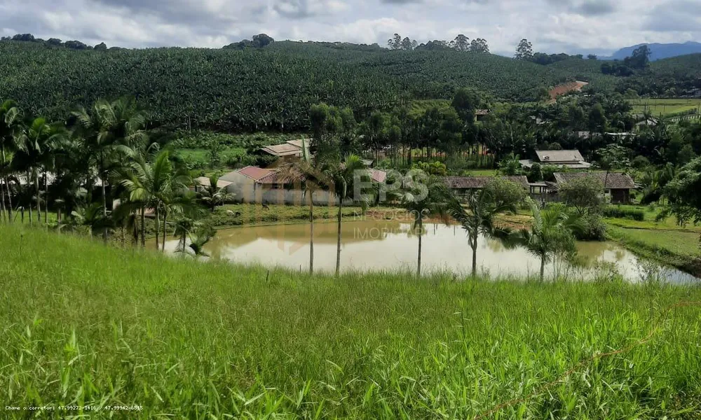Sítio, 3 quartos, 2 hectares - Foto 18