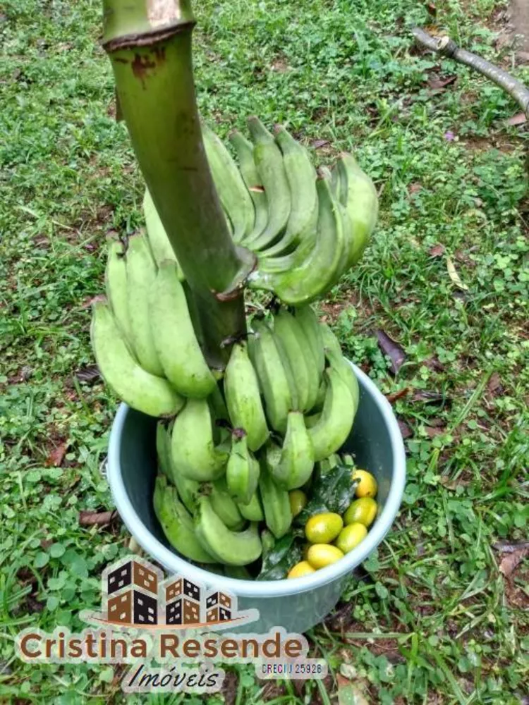 Chácara, 2 quartos, 5000 m² - Foto 16