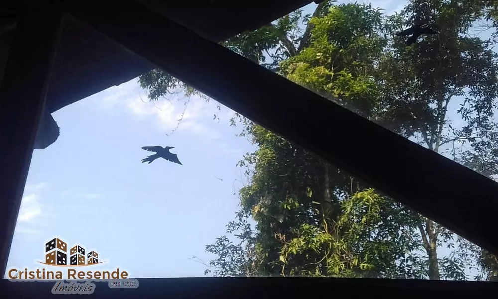 Chácara, 2 quartos, 5000 m² - Foto 28