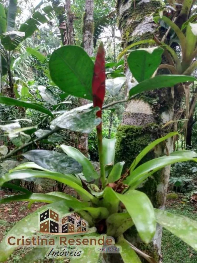 Chácara, 2 quartos, 5000 m² - Foto 11