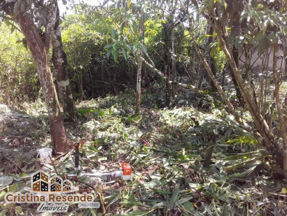 Terreno à venda, 250m² - Foto 2
