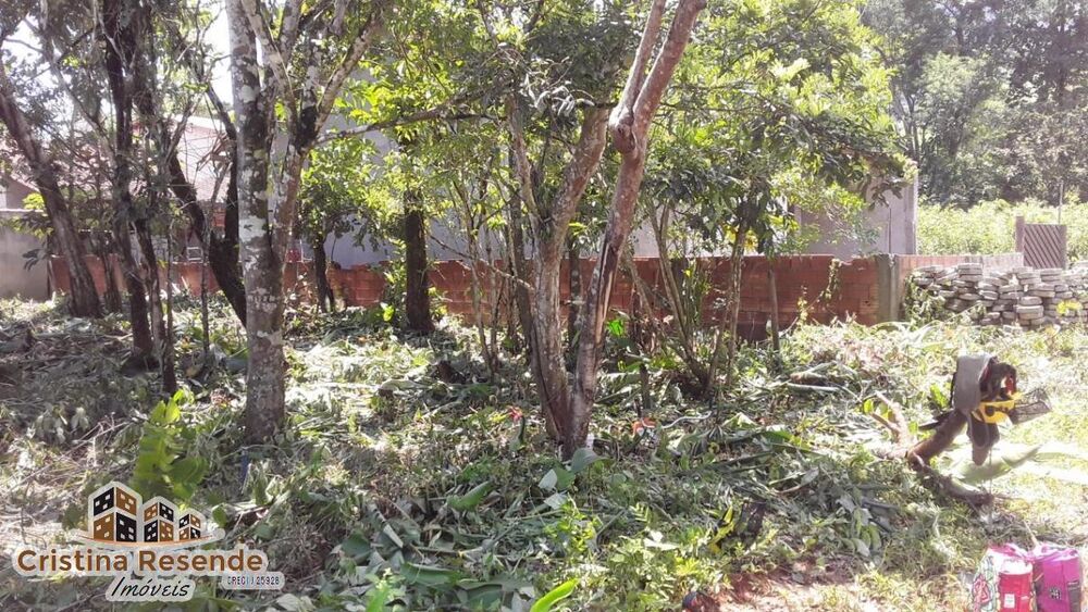 Terreno à venda, 250m² - Foto 4