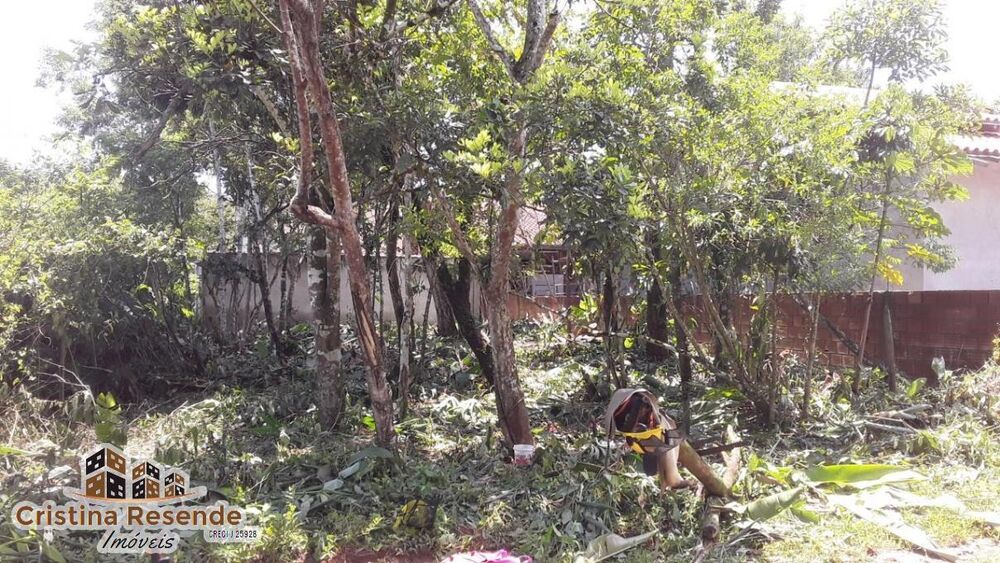Terreno à venda, 250m² - Foto 3