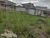 Terreno, 300 m² - Foto 1