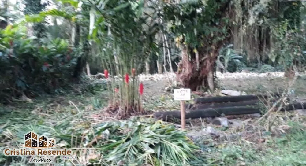 Terreno, 350 m² - Foto 3