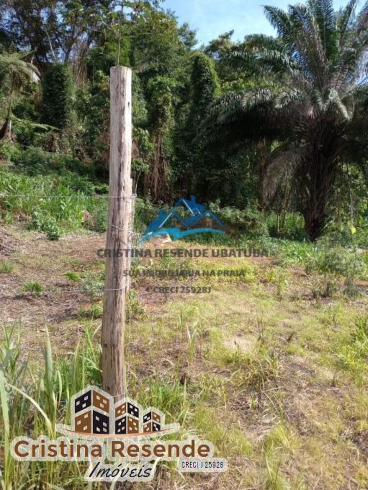 Terreno, 100 m² - Foto 1