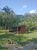 Chácara, 3 hectares - Foto 8