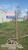 Terreno, 270 m² - Foto 1