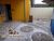 Casa, 2 quartos, 250 m² - Foto 1
