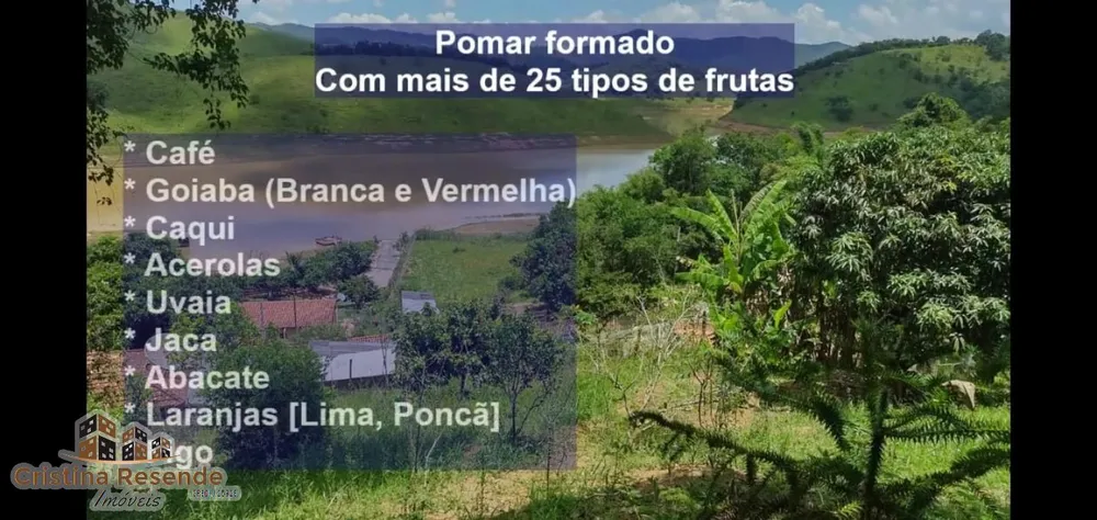 Sítio, 4 quartos, 3 hectares - Foto 9