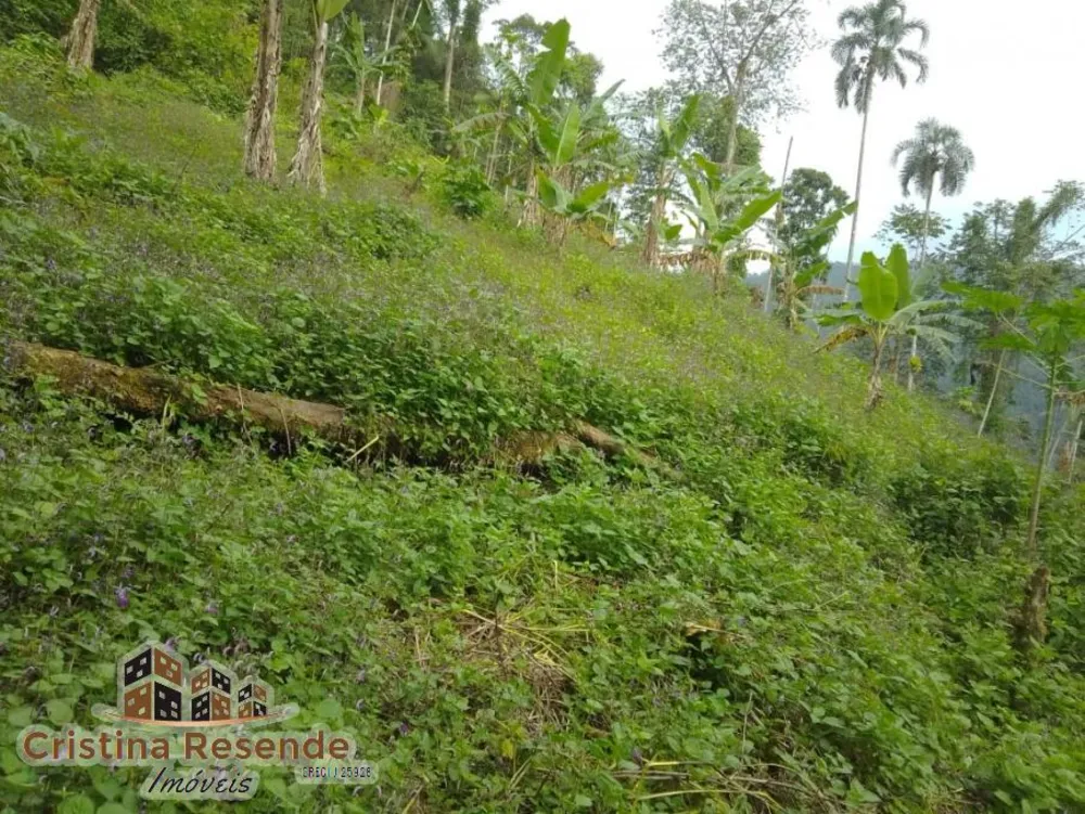 Terreno, 10 hectares - Foto 1