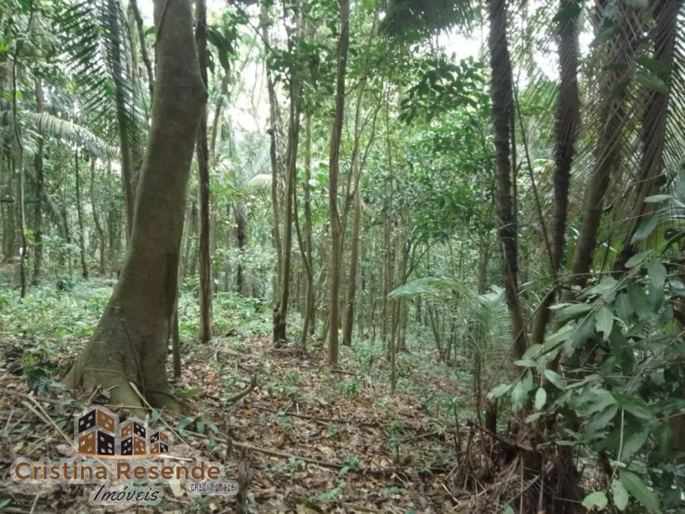 Terreno, 10 hectares - Foto 4