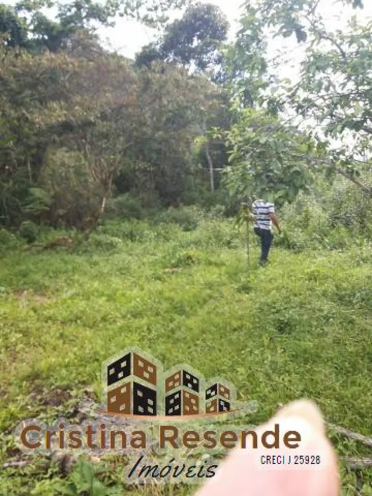 Terreno, 6000 m² - Foto 5