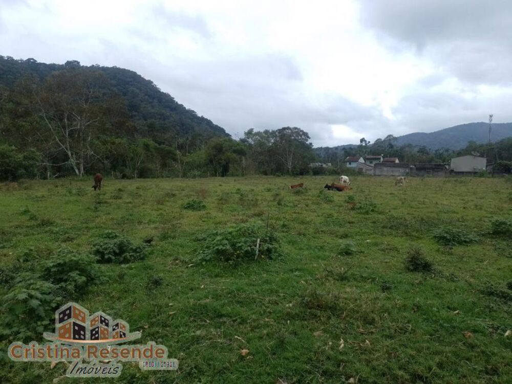 Terreno, 2 hectares - Foto 6