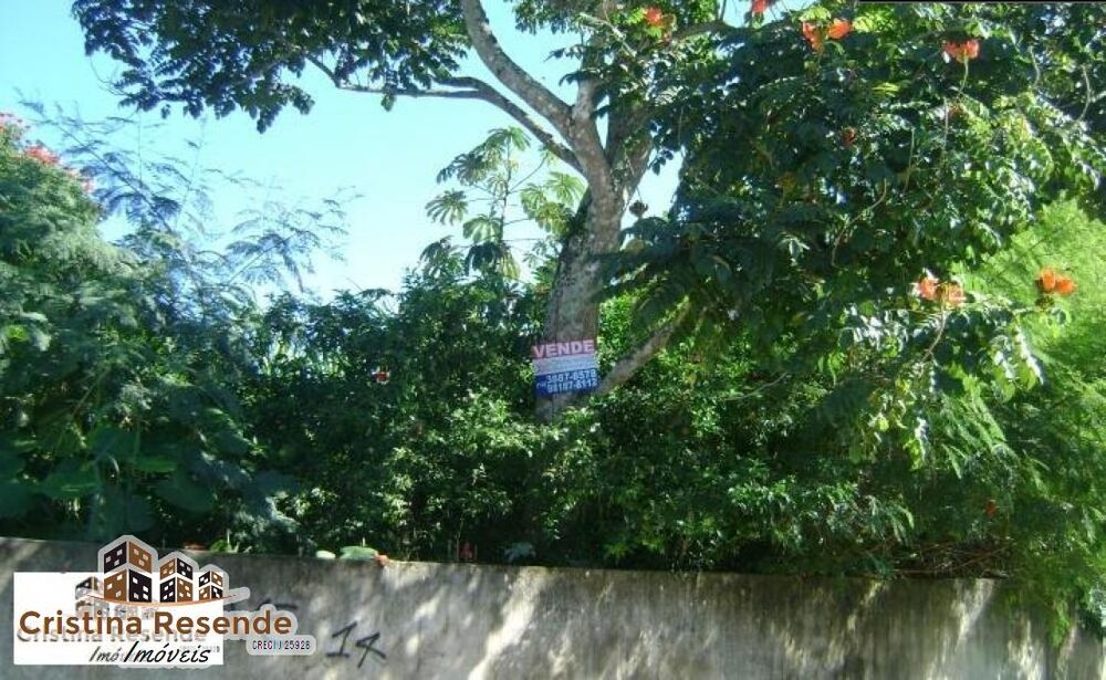 Terreno - Foto 1