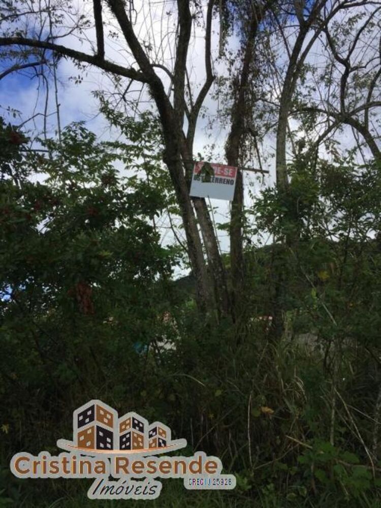 Terreno, 600 m² - Foto 2