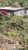 Terreno, 300 m² - Foto 3