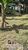 Terreno, 300 m² - Foto 1