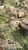 Terreno, 300 m² - Foto 5