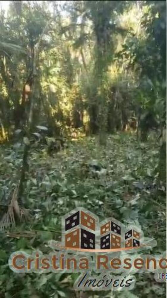 Terreno, 3000 m² - Foto 2