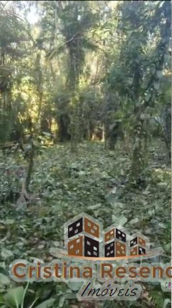 Terreno, 3000 m² - Foto 1