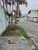 Terreno, 139 m² - Foto 4