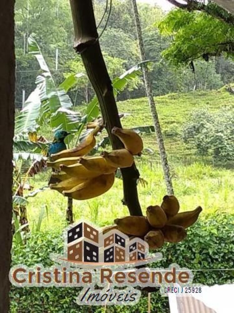 Chácara, 3 quartos, 2000 m² - Foto 3