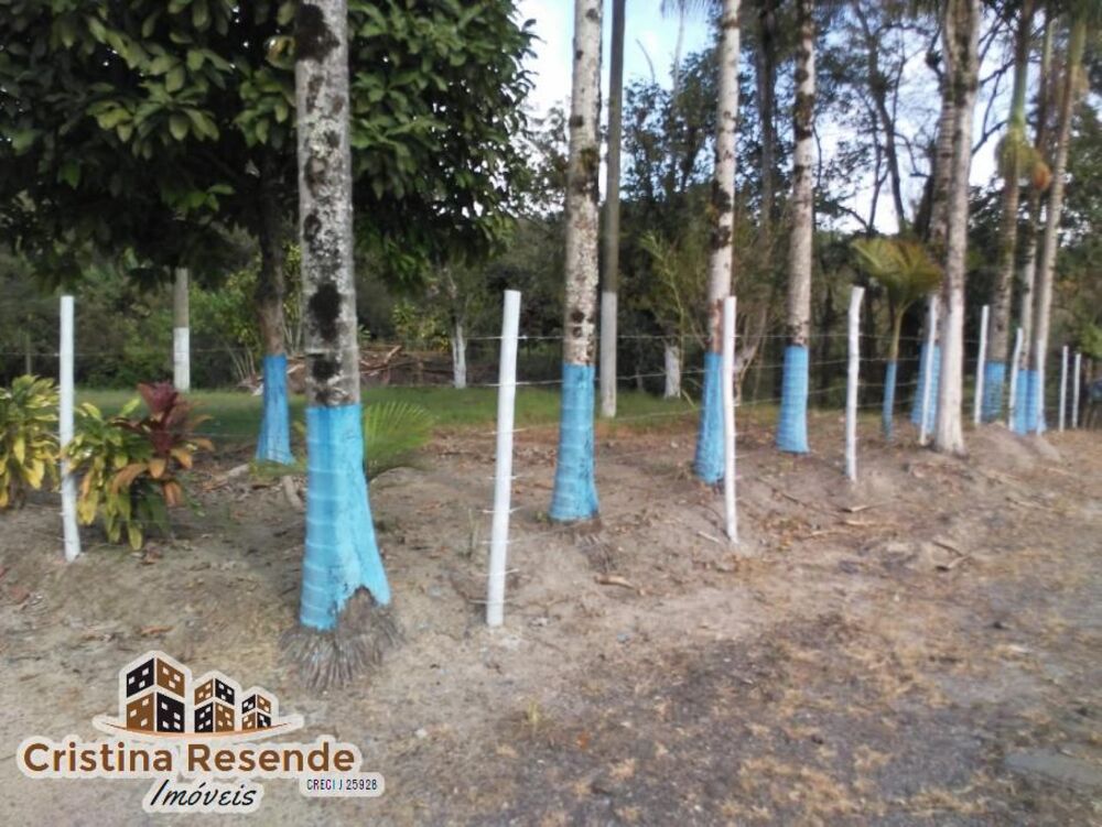 Chácara à venda com 3 quartos - Foto 4