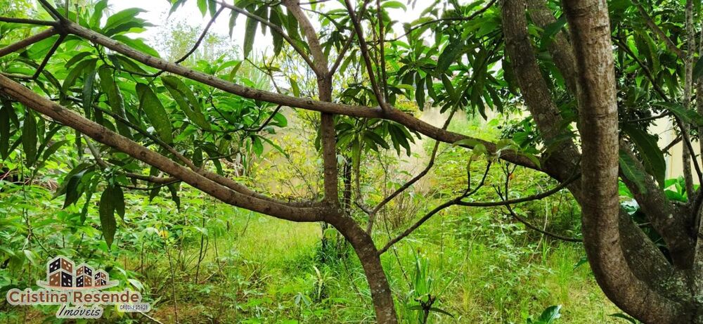 Terreno, 360 m² - Foto 1