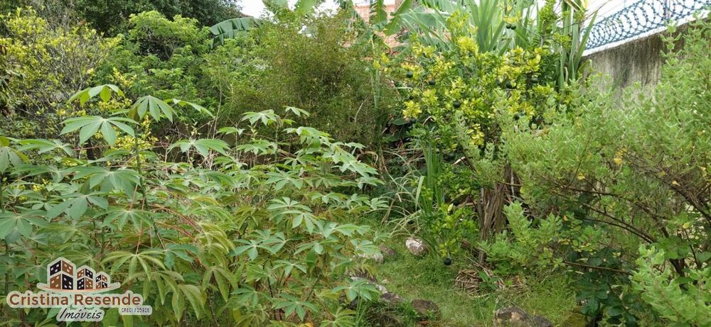 Terreno, 360 m² - Foto 3