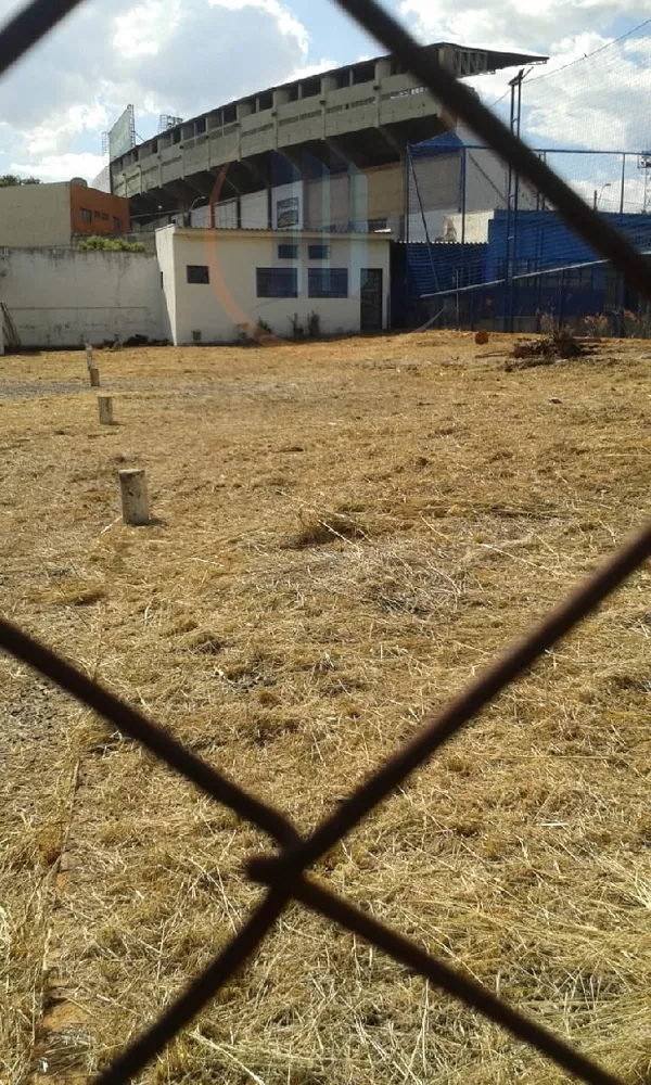 Loja-Salão, 500 m² - Foto 5