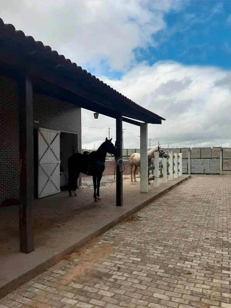 Terreno, 1000 m² - Foto 4