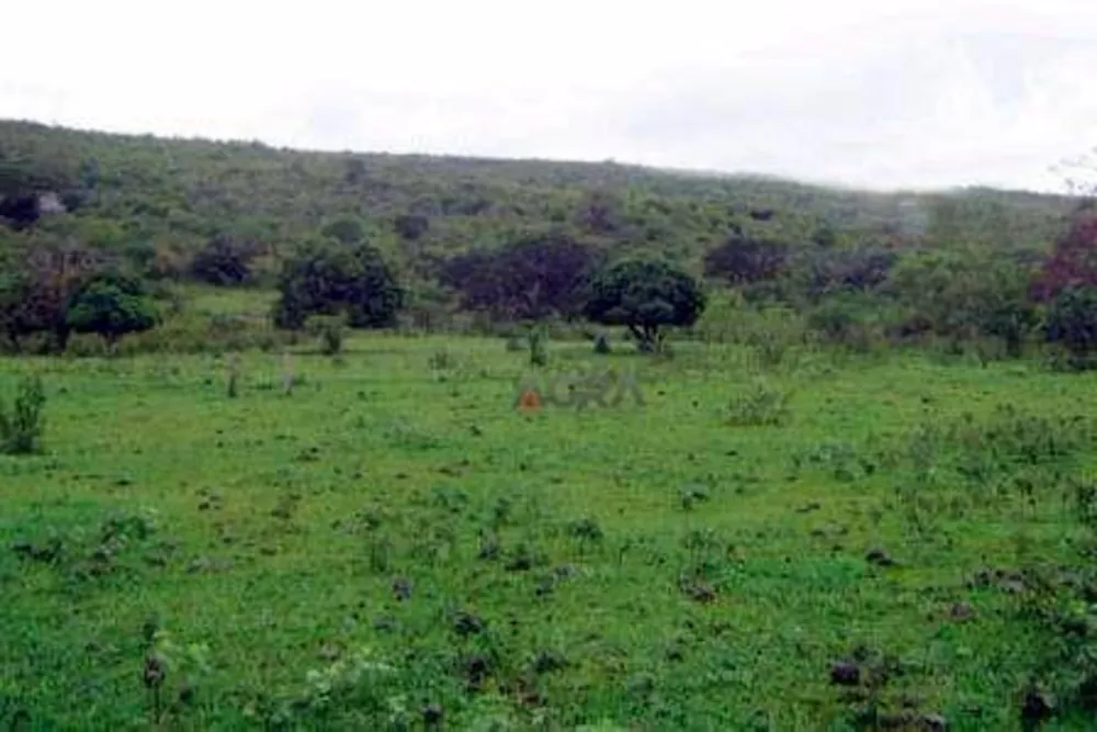 Fazenda, 609 hectares - Foto 4