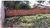 Terreno, 360 m² - Foto 4