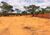 Terreno, 5000 m² - Foto 6