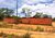 Terreno, 5000 m² - Foto 5