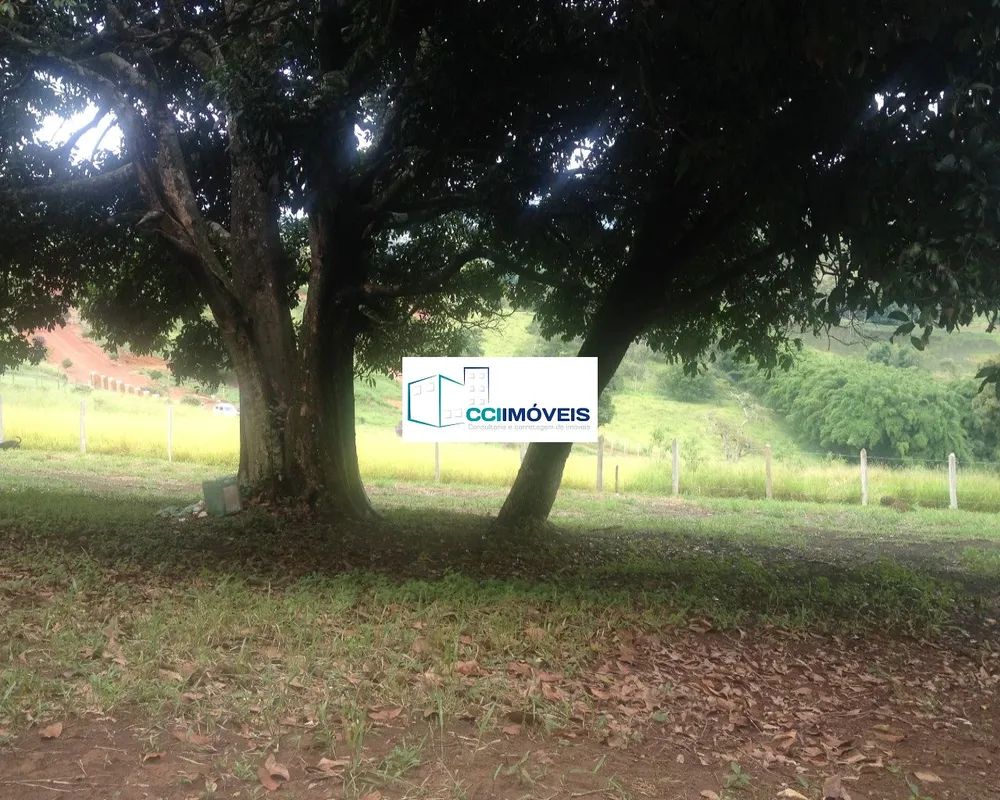Chácara, 1000 m² - Foto 3