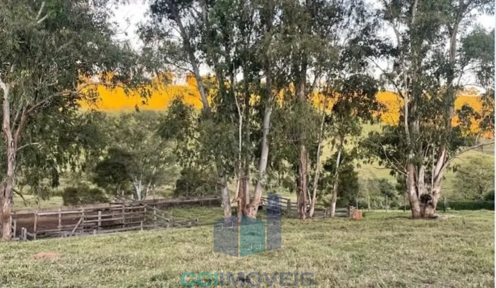 Terreno, 5200 m² - Foto 4