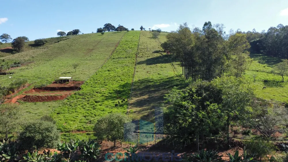 Terreno, 2 hectares - Foto 7
