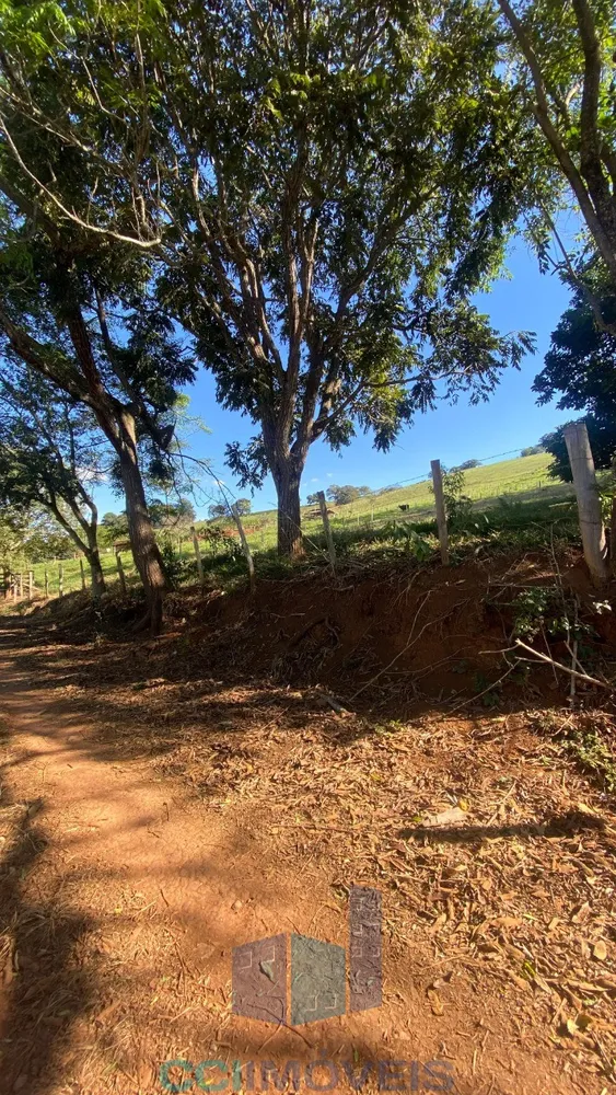 Terreno, 2 hectares - Foto 2