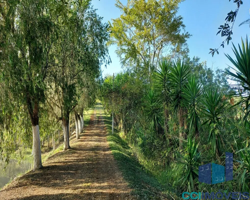 Sítio, 6 quartos, 3 hectares - Foto 12