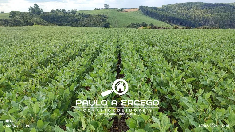 Sítio, 12 hectares - Foto 1