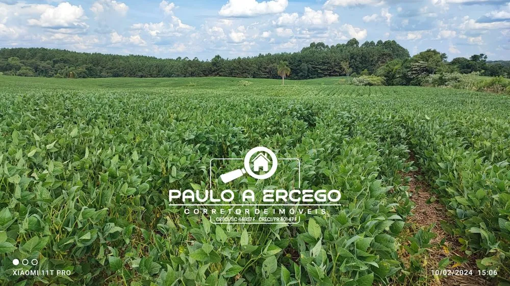 Sítio, 12 hectares - Foto 10