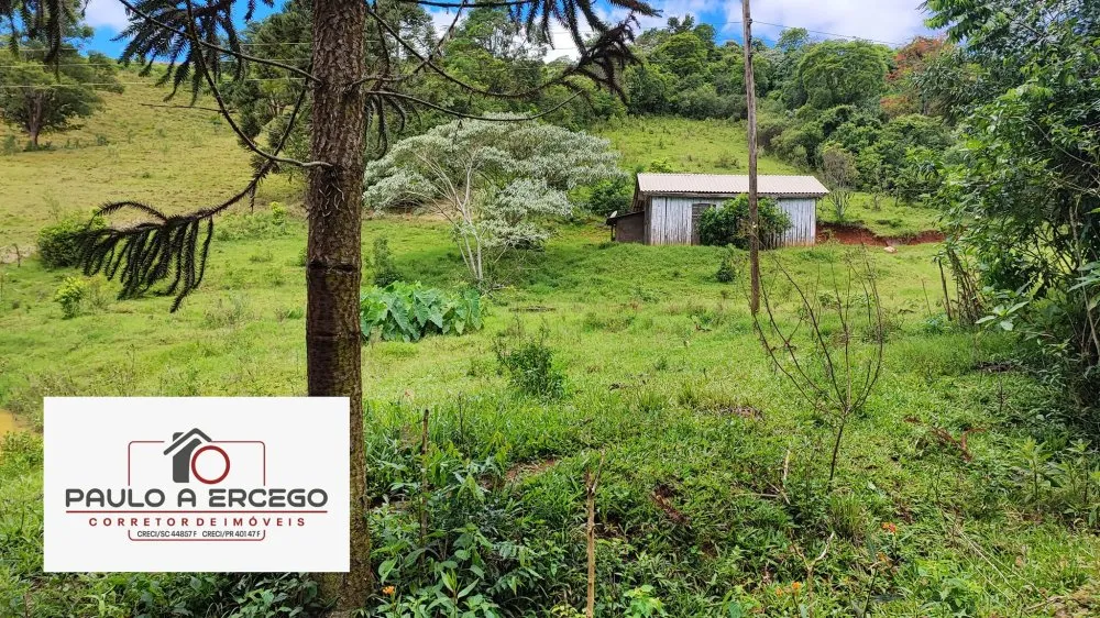 Sítio, 12 hectares - Foto 14