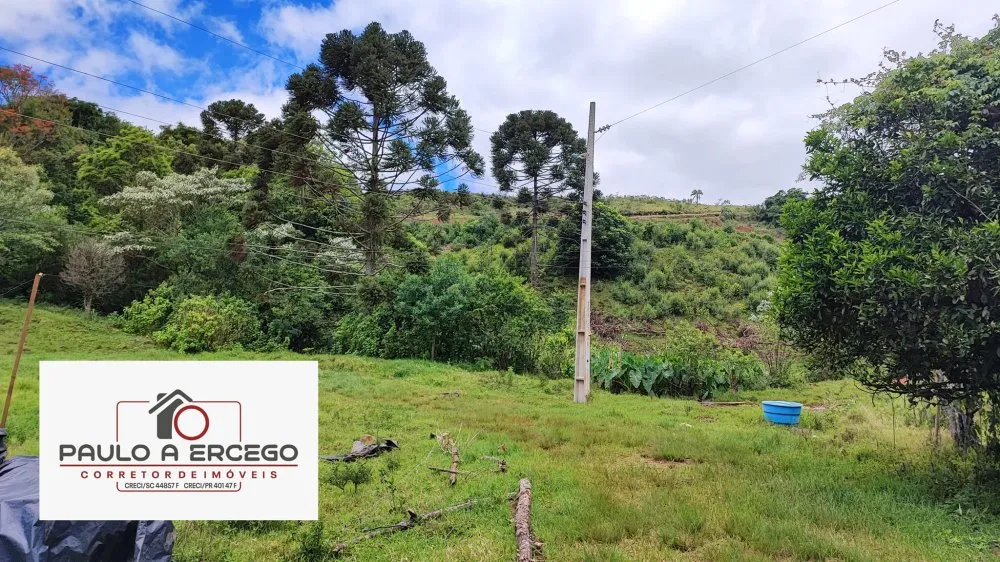 Sítio, 12 hectares - Foto 12